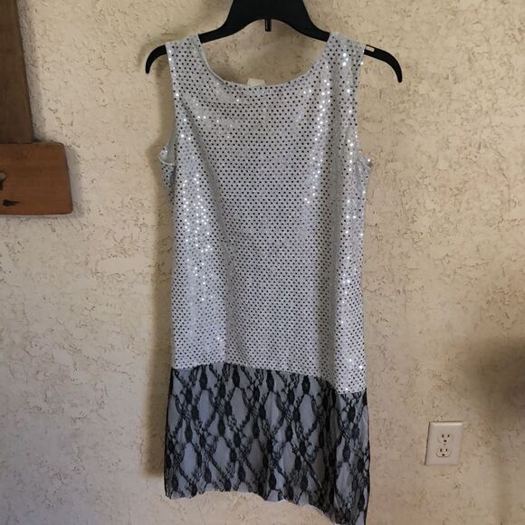 1920’s Silver Flapper Costume - Picture 4 of 12